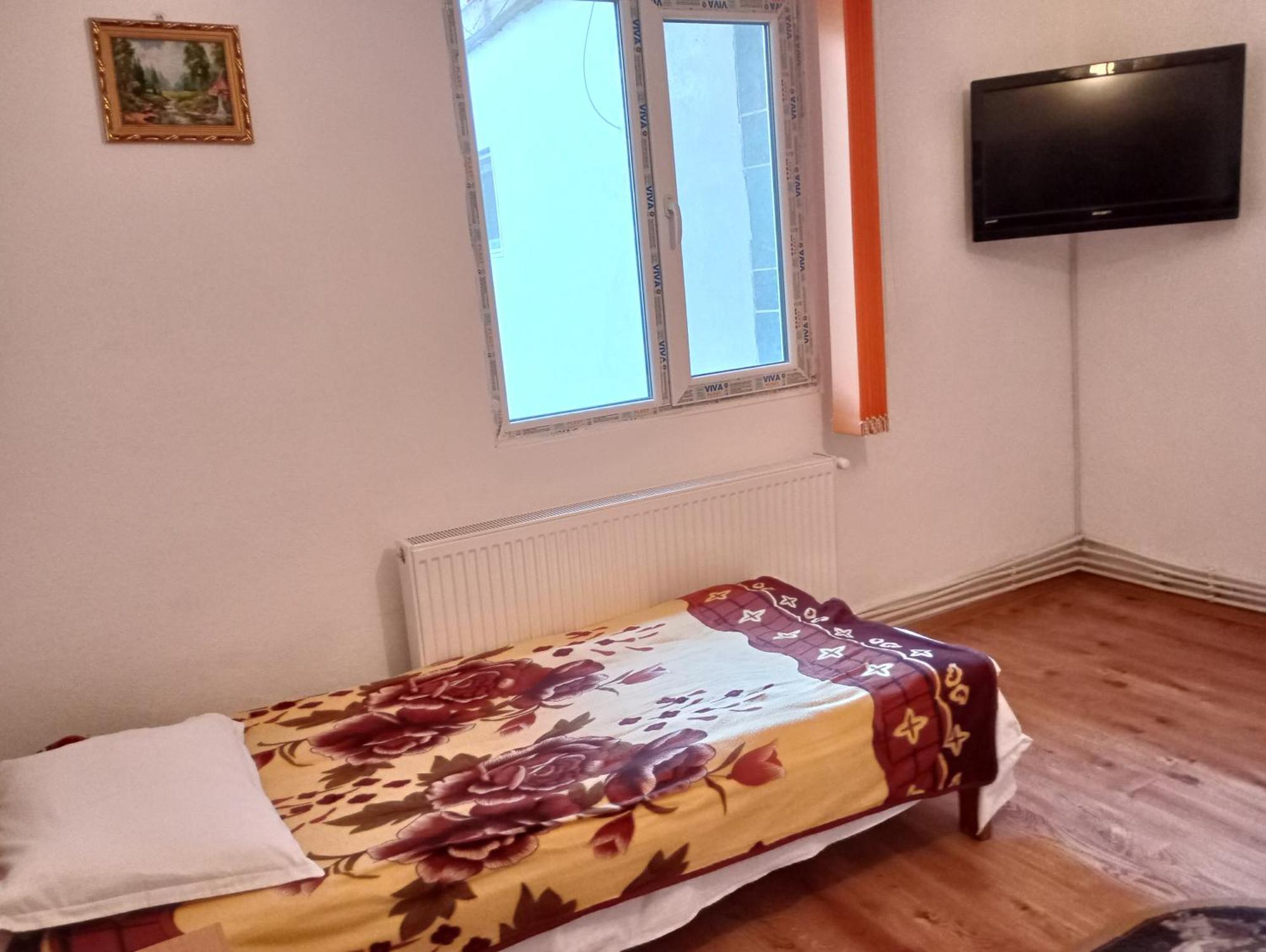 Pensiunea Irina 3 Zărneşti Exterior foto