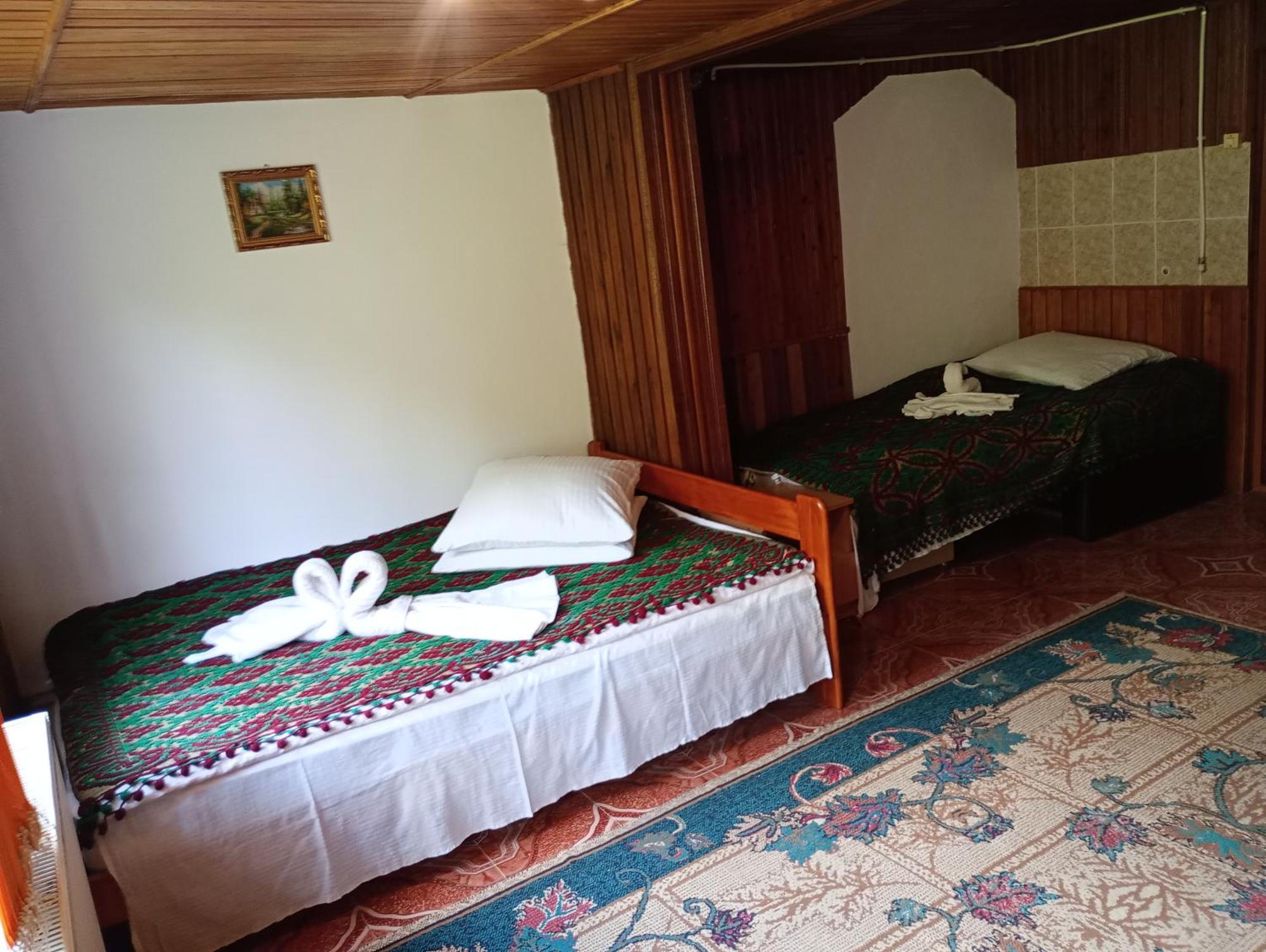Pensiunea Irina 3 Zărneşti Exterior foto